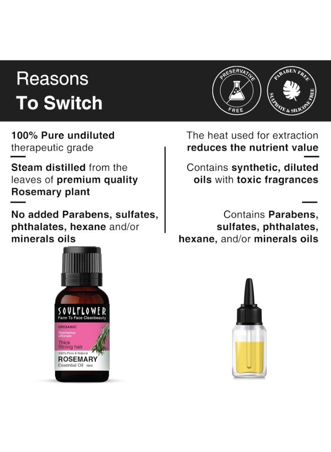 Soulflower Rosemary Essential Oil for Hair Growth, Hair Fall Control, Hair Nourishment & Strengthening, Skin Care | Clinically Proven and Ecocert Certified Organic | 100% Pure & Natural Undiluted | 10ml (Without Dropper) - Image 4